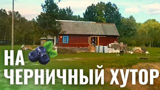 на черничный хутор