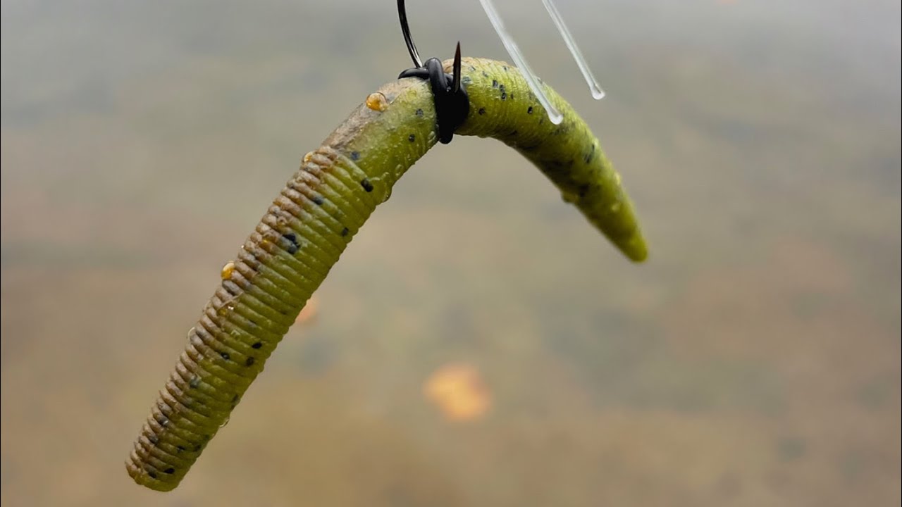 Skipping a wacky rigged senko 