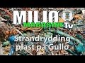 Miljømagasinet TV  1 2017  Strandrydding plast Gullo