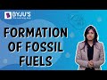 Fossils to Fuel: The Journey of Energy Through Time