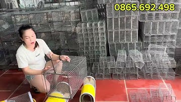 🦊🐭LỒNG BẪY CHUỘT ĐƯỜNG MÒN, CỐNG NHUM, SÓC ĐẤT, LỒNG CHUỘT THÔNG MINH, LỒNG CẦY CÁO HÀNG ĐẶT ❤️💥