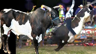 ¡¡QUE TORADA IMPRESIONANTE TRAE!! Rancho El Tigre En Chacotla Guerrero 2023