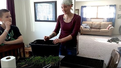 Ladbrooke soil blocker review and up potting