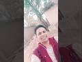piche ghumela prashasan a pagali #song #foryou #love