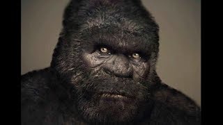 The Most Compelling Bigfoot Footage
