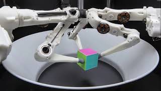 Benchmarking Structured Policies and Policy Optimization for RealWorld Dexterous Object Manipulation