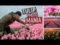 Best Tulip Photos In Amsterdam  - Moments In Time Ep 8