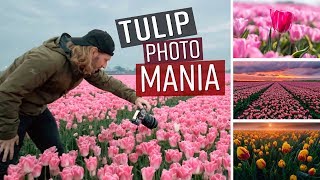 Best Tulip Photos In Amsterdam  - Moments In Time Ep 8 screenshot 1