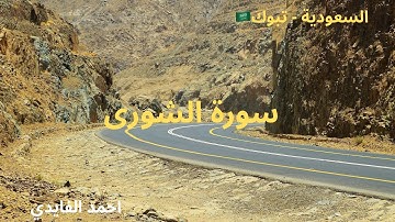 سورة الشورى | تلاوة سعودية مؤثرة بصوت أحمد الفايدي من تبوك 🇸🇦