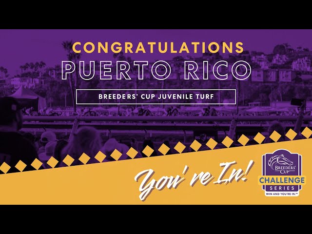 2024 BREEDERS' CUP まとめセット Breeders' Cup 2024 Top Contenders on HorseCenter - YouTube