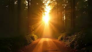 Sonic Oasis - The Warmth Inside Soulful Atmospheric Deep House