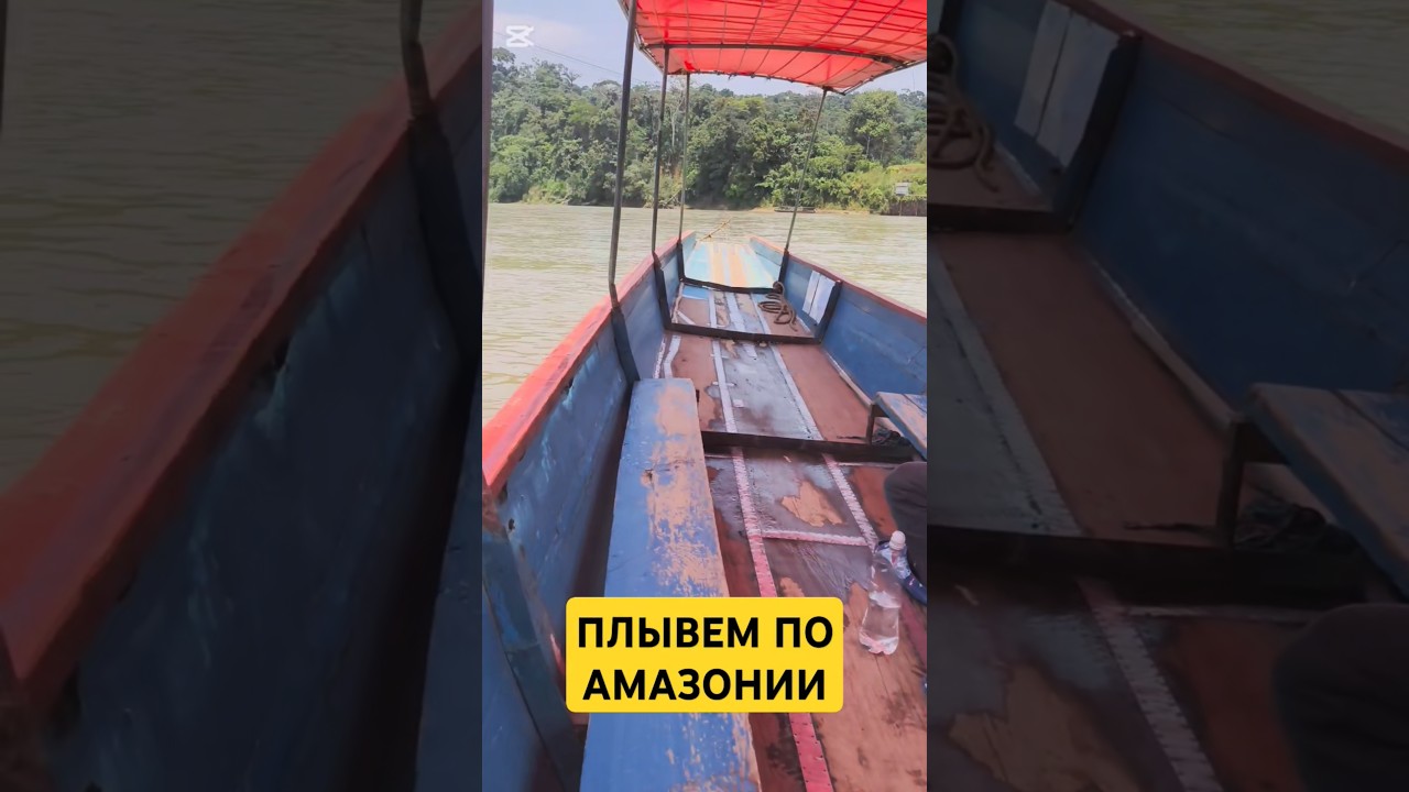 ПЛЫВЕМ ПО АМАЗОНИИ 🇪🇨 