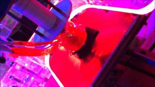 Celebrity Robot's & Dinosaurs Makerbot Cupcake in action Wealth