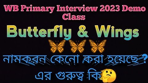 Butterfly & wings নামকরন কেন করা হয়েছে 🤔 এবং এর গুরুত্ব কি? WB Primary #interview #democlass WB TET