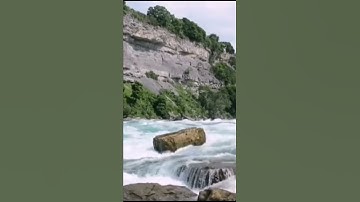 القارئ ابراهيم العسيري