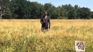 Flint Councilman Eric Mays calls for more grass and weed cutting
