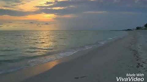 قراءة جميلة من أواخر سورة الحشر ❤