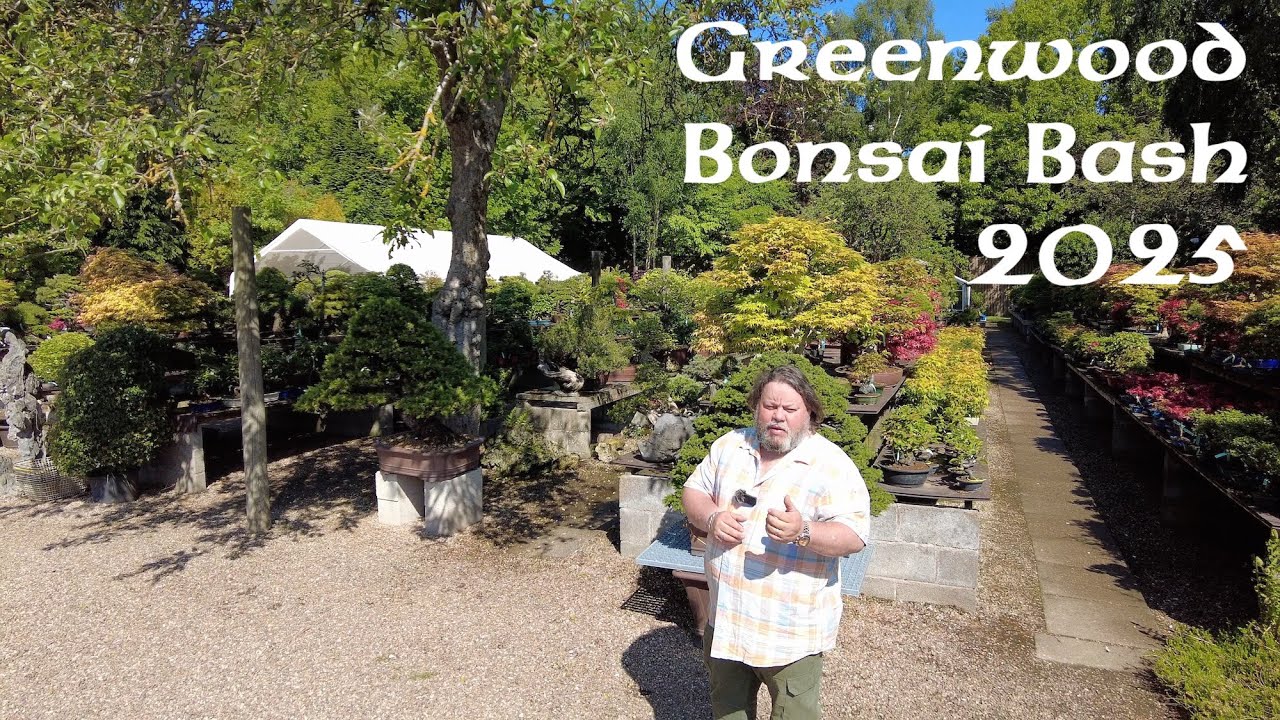 Greenwood Bonsai Bash Compilation