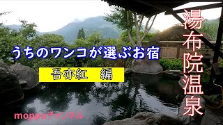 走るモップハウス【バンコン】が行く!!!うちのワンコが選ぶお宿♪湯布院山荘　吾亦紅 編