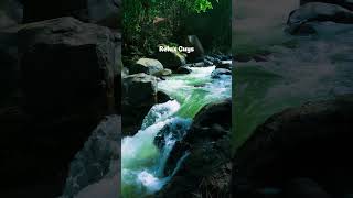 Stress Relief in Seconds | Relax Your Mind #shorts
