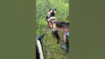 Summer 2025 Horse Equestrianjourney Equestrian Recap Summer2025 
