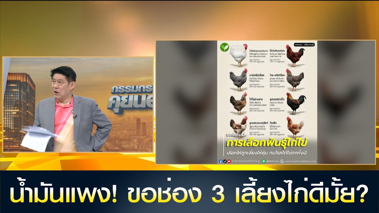 ว่าจะขอช่อง 3 ไก่ดีมั้ย?