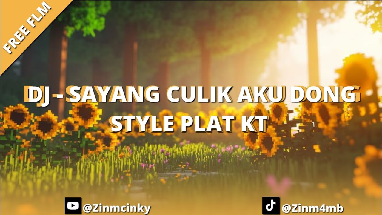 [FREE FLM] DJ SAYANG CULIK AKU DONG STYLE PLAT KT BY ZIMZCHALAY 