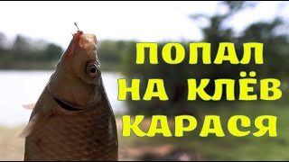 Попал На Клёв Карася, Хороший Улов Рыбы, Ловля На Фидерную Снасть