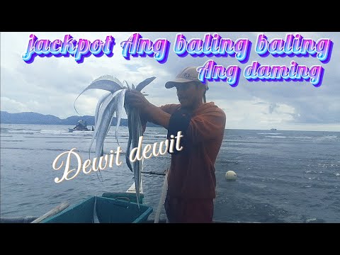 Harvest ang maraming isda sa isang baling baling