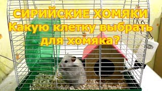 Сирийские хомяки часть 3 - Какую клетку выбрать для хомяка | Уход и содержание Сирийские хомяки часть 3 - Какую клетку выбрать для хомяка | Уход и содержание