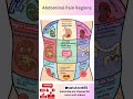 Abdominal Pain Explained | 9 Regions of Stomach Pain & Their Causes| Medical Animation #shorts