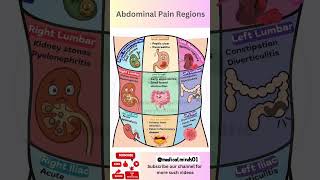 Abdominal Pain Explained | 9 Regions of Stomach Pain &amp; Their Causes| Medical Animation #shorts