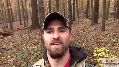 2018 PA public land buck kill review