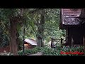 Звуки джунглей Taman Negara national park