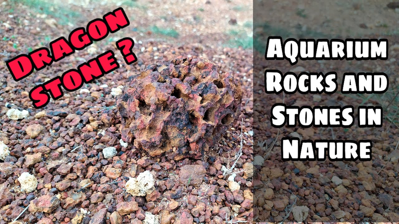 Found Stones and Rocks for Aquarium Dragon Stones ? INDIAN AQUATICS🐟