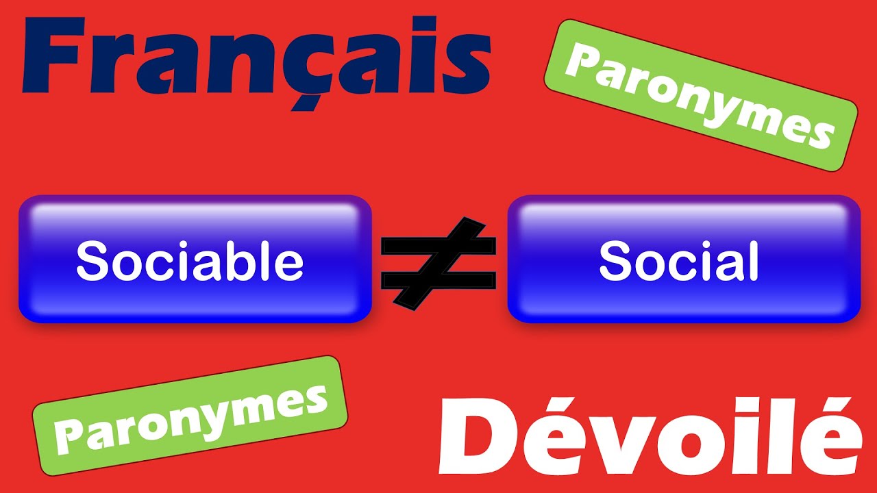 Sociable et Social (Paronymes)