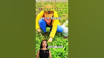 #fcnfm Maximize Your Harvest with Our High-Performance Drying Rooms