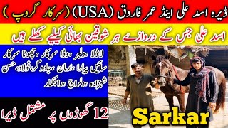 Dera Asad Ali & Umer Farooq 12 Champion Horse Tanga Race