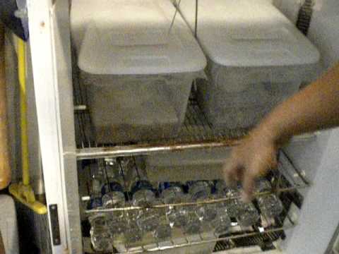 build a reptile incubator build a reptile incubator