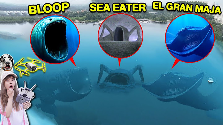 บินโดรน จับภาพ สู้กันโหดมาก ใครชนะ The Bloop VS Sea eater VS El gran maja