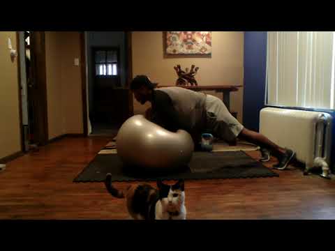 Stability ball workout video camera iphone 8 plus apk