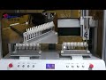 Double Y axis dispensing and curing equipment