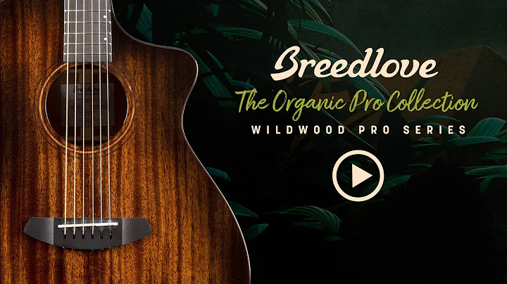 Breedlove Organic Collection Wildwood Pro Guitar S...