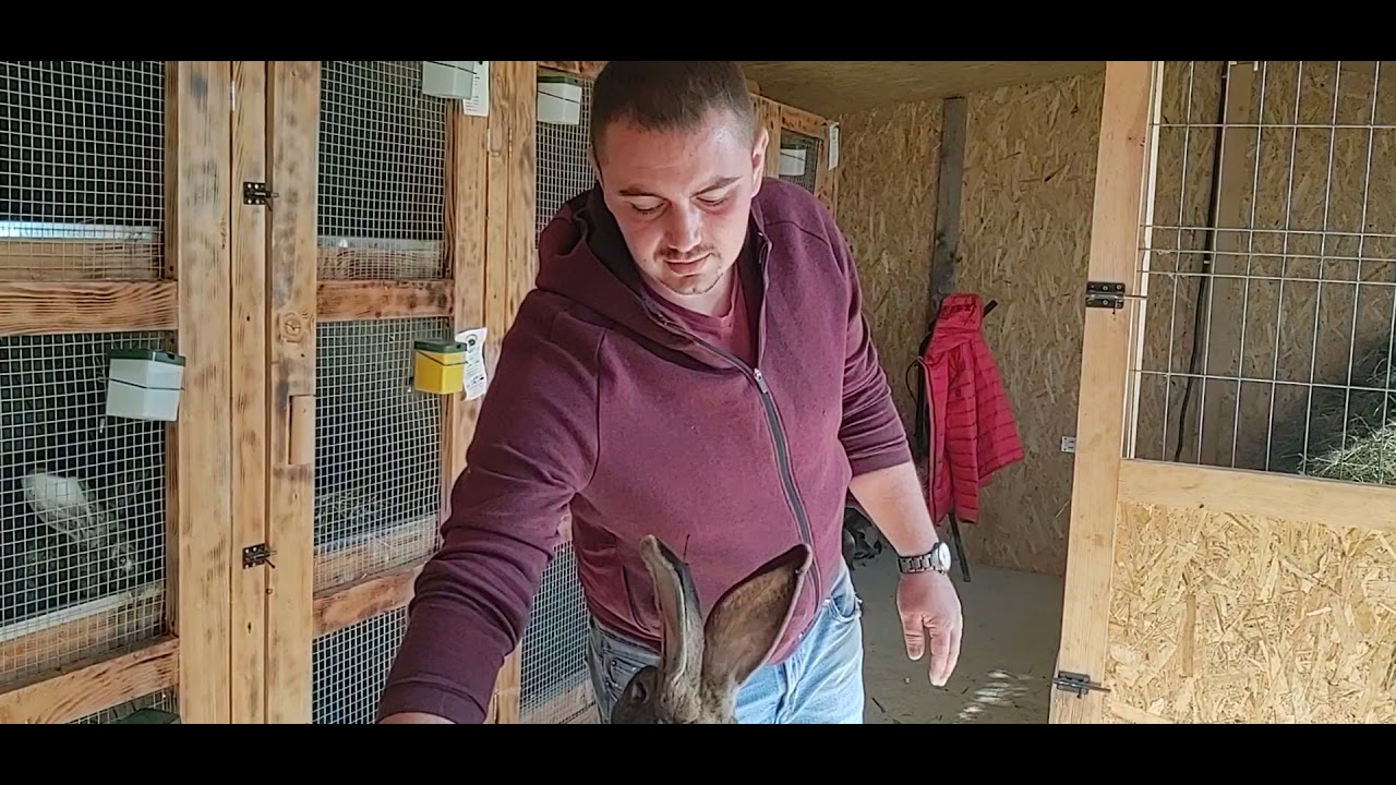 VIZITA LA URIAȘII LUI CRISTI CIRNU