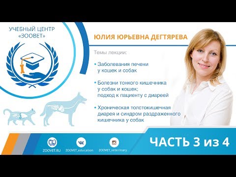 Ю. Ю. Дегтярева УЦ ЗООВЕТ | Заболевания печени у кошек и собак. Часть 3/4