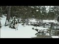 Bain froid 1 degré en montagne sous la neige