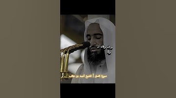 سورة النمل ( ويقولون متى هذا الوعد إن كنتم صادقين ) | الشيخ أحمد بن طالب.