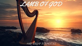 LAMB OF GOD /PROPHETIC HARP WARFARE INSTRUMENTAL / WORSHIP MEDITATION MUSIC / INTENSE HARP WORSHIP