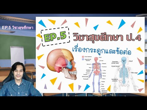 วีดีโอ: ยี่หร่าทั่วไป: คุณสมบัติของการเจริญเติบโตและพัฒนาการใช้ในการแพทย์และการปรุงอาหาร