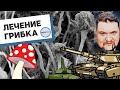 Эффективное лечение грибка ногтей. Часть 1. О грибах